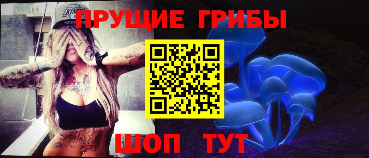 Галлюциногенные грибы ЛСД  Вход с VPN  как найти закладки  Владикавказ 